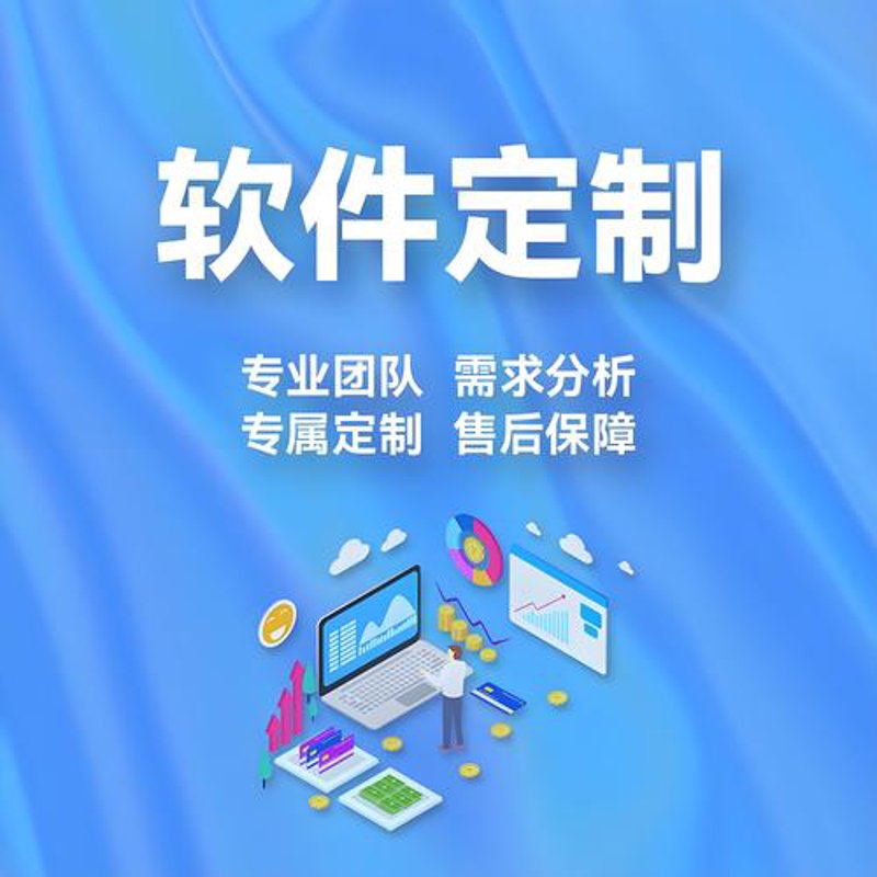 企业软件定制
